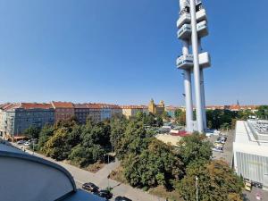 Pronájem bytu 1+kk, Praha - Vinohrady, Ondříčkova, 42 m2