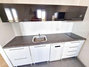 Pronájem bytu 1+kk, Praha - Vinohrady, Ondříčkova, 42 m2