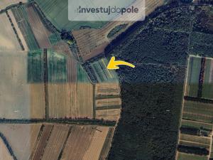Prodej pole, Moravský Písek, 571 m2
