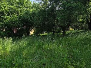 Prodej chalupy, Turnov, Hruboskalská, 100 m2