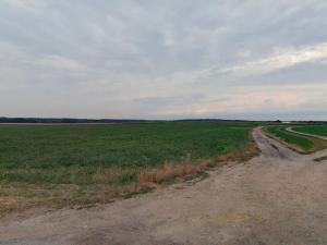 Prodej pole, Přelovice, 4642 m2