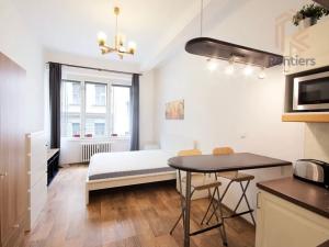 Pronájem bytu 1+kk, Praha - Nové Město, Ve Smečkách, 23 m2
