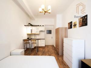 Pronájem bytu 1+kk, Praha - Nové Město, Ve Smečkách, 23 m2