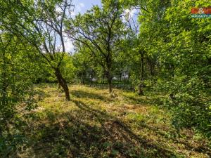 Prodej rodinného domu, Bařice-Velké Těšany - Bařice, 152 m2