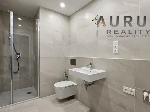 Pronájem bytu 1+kk, Praha - Nusle, Bělehradská, 50 m2