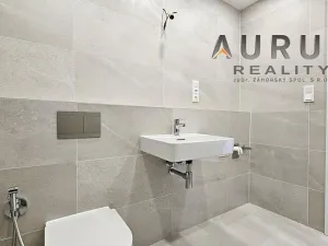 Pronájem bytu 1+kk, Praha - Nusle, Bělehradská, 50 m2