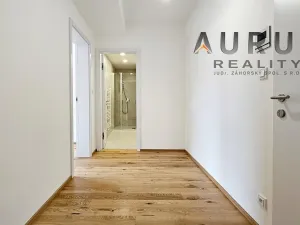 Pronájem bytu 1+kk, Praha - Nusle, Bělehradská, 50 m2