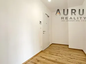 Pronájem bytu 1+kk, Praha - Nusle, Bělehradská, 50 m2