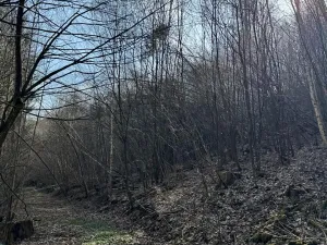 Prodej pozemku, Louňovice pod Blaníkem, 23891 m2