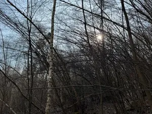 Prodej pozemku, Louňovice pod Blaníkem, 23891 m2