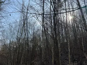 Prodej pozemku, Louňovice pod Blaníkem, 23891 m2