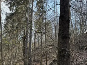 Prodej pozemku, Louňovice pod Blaníkem, 23891 m2