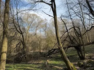 Prodej pozemku, Louňovice pod Blaníkem, 23891 m2