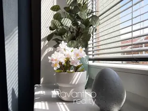 Pronájem bytu 1+kk, Brno, Nováčkova, 31 m2