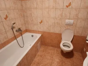 Pronájem bytu 2+1, Ostrov, Hroznětínská, 60 m2