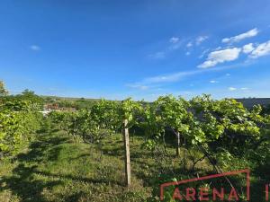 Prodej rodinného domu, Zaječí, Požární, 221 m2