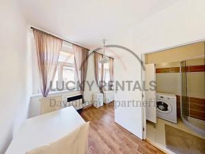 Pronájem bytu 1+1, Praha - Karlín, Sokolovská, 38 m2