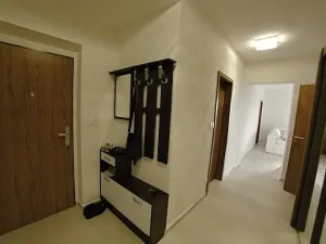Pronájem bytu 2+kk, Plzeň, U Velkého rybníka, 58 m2