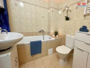 Pronájem bytu 3+1, Čermná nad Orlicí - Malá Čermná, 68 m2