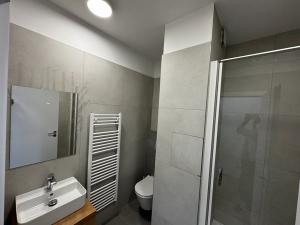 Pronájem bytu 1+1, Vysoké Mýto, 17. listopadu, 37 m2