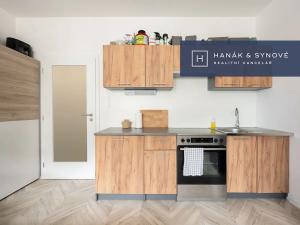 Pronájem bytu 1+kk, Brno, Cejl, 27 m2
