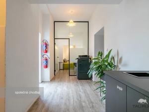 Pronájem kanceláře, Plzeň, Kopeckého sady, 22 m2