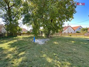 Prodej zemědělské usedlosti, Kamenice nad Lipou - Nová Ves, 144 m2