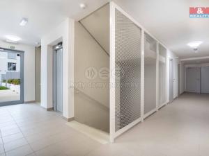 Pronájem bytu 2+kk, Plzeň, Stehlíkova, 55 m2