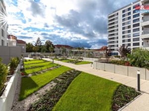 Pronájem bytu 2+kk, Plzeň, Stehlíkova, 55 m2