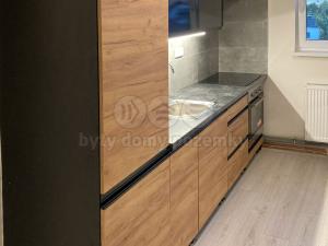 Pronájem bytu 1+kk, Litoměřice, Českolipská, 41 m2