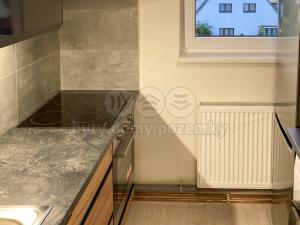 Pronájem bytu 1+kk, Litoměřice, Českolipská, 41 m2