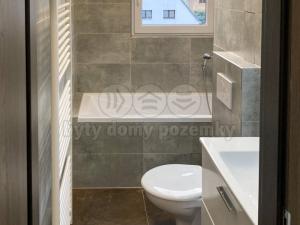Pronájem bytu 1+kk, Litoměřice, Českolipská, 41 m2
