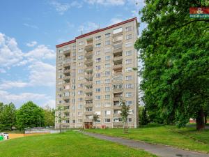 Prodej bytu 1+kk, Cheb, Přátelství, 22 m2