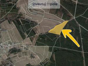 Prodej pole, Štětí - Stračí, 34657 m2