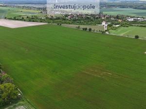 Prodej pole, Velký Borek - Skuhrov, 13936 m2