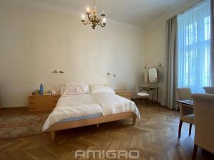 Pronájem bytu 4+1, Brno, Česká, 220 m2