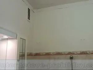 Pronájem bytu 2+1, Praha - Hloubětín, Slévačská, 55 m2