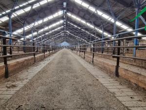 Prodej komerční, Dlouhý Újezd, 10000 m2