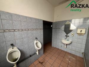 Pronájem komerční, Tachov, 291 m2