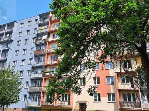 Pronájem bytu 1+kk, Ostrava, Podroužkova, 22 m2