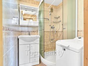 Prodej bytu 2+1, Chodov, U Porcelánky, 61 m2