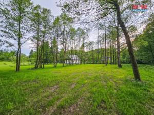 Prodej pozemku pro bydlení, Nový Hrádek - Rzy, 1925 m2