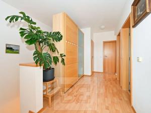 Prodej bytu 4+kk, Brno, Soukenická, 103 m2