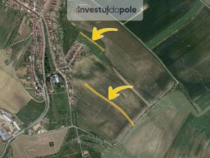 Prodej pole, Horní Bojanovice, 10109 m2