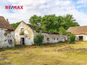 Prodej zemědělského objektu, Počedělice, 2500 m2