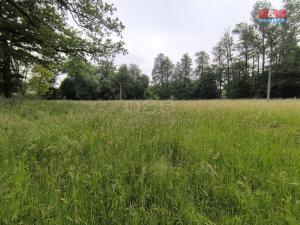 Prodej lesa, Střelské Hoštice - Kozlov, 20128 m2