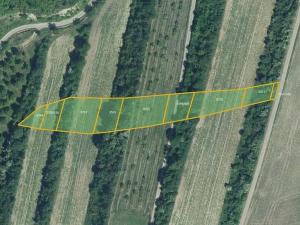 Prodej pole, Dambořice, 23972 m2