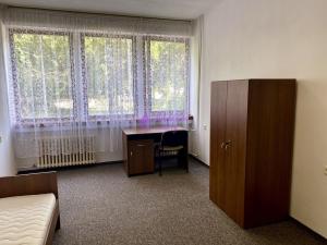 Pronájem bytu, Olomouc - Nová Ulice, Wellnerova, 17 m2