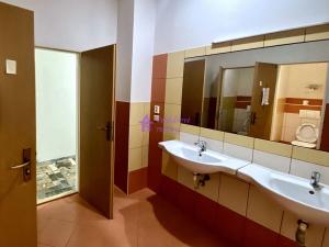 Pronájem bytu, Olomouc - Nová Ulice, Wellnerova, 17 m2