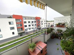 Pronájem bytu 1+kk, Slavkov u Brna, 39 m2